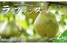 【仲野観光果樹園】≪2025年先行予約≫贈答用 山形県産 西洋梨 ラ・フランス 2kg (6～7玉) 秀品 2025年11月上旬から順次発送 F2Y-6110
