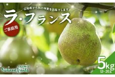 【仲野観光果樹園】≪2025年先行予約≫ご家庭用 山形県産 西洋梨 ラ・フランス 5kg (12～20玉)  2025年11月上旬から順次発送 F2Y-6112