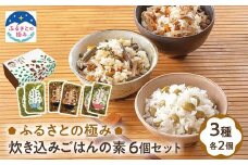 【ふるさとの極み】炊き込みごはんの素セット 6袋入り F2Y-6066