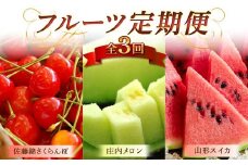 《2025年 先行予約》 3回定期便 山形県産 佐藤錦 500g 庄内メロン 2玉 山形すいか 1玉 フルーツ 果物 FSY-2079