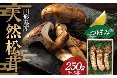 【数量限定】≪2025年先行予約≫贈答用 山形県産 天然 松茸 つぼみ 250g(3～5本) 木箱入 2025年9月下旬頃から順次発送 F2Y-1129