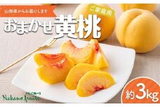 【仲野観光果樹園】≪2025年先行予約≫ご家庭用 山形県産 おまかせ 黄桃 約3kg(6～12玉) 2025年8月上旬から順次発送 F2Y-6124