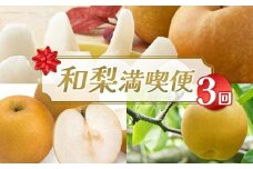 【2025年先行予約】和梨満喫便（全3回） FSY-2174