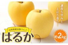 山形県産 厳選完熟りんご 『はるか』有袋栽培 秀品以上 約2kg化粧箱（5～10玉入り）《先行受付2025年度12月発送》 FSY-2183
