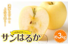 山形県産 厳選完熟りんご 『サンはるか』（無袋栽培） 秀品 約3kg化粧箱（7～12玉入り）《先行受付2025年度12月発送》 FSY-2184
