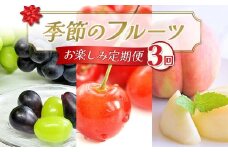 【2026年先行予約】季節のフルーツお楽しみ定期便（全3回） FSY-2324