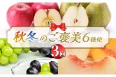 【2025年先行予約】秋冬のご褒美6種便（3回） FSY-2173