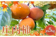 《先行予約 令和7年度産》 厳選 庄内柿 約5kg FSY-2177