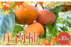 《先行予約 令和7年度産》 厳選 庄内柿 約10kg FSY-2178