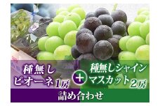 【令和7年先行受付】シャインマスカット・ピオーネ 詰め合わせ 約1.8kg（計3房） ぶどう 果物 フルーツ FSY-2105