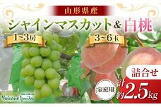 【仲野観光果樹園】≪2025年先行予約≫ご家庭用 山形県産 シャインマスカット 白桃 詰合せ 約2.5kg 2025年9月中旬から順次発送 F2Y-6139