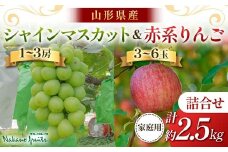 【仲野観光果樹園】≪2025年先行予約≫ご家庭用 山形県産 シャインマスカット りんご 詰合せ 約2.5kg 2025年10月上旬から順次発送 F2Y-6141