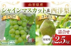 【仲野観光果樹園】≪2025年先行予約≫家庭用 山形県産 シャインマスカット 西洋梨 詰合せ 約2.5kg 2025年9月中旬から順次発送 F2Y-6143