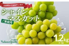 【仲野観光果樹園】≪2025年先行予約≫家庭用 山形県産 シャインマスカット 約1.2kg（2～3房） 2025年9月上旬から順次発送 F2Y-6144