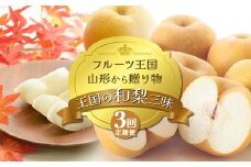 【2025年先行予約 定期便3回】ﾌﾙｰﾂ王国山形からの贈り物 ～王国の和梨三昧～ 梨 なし ナシ デザート フルーツ 果物 くだもの 果実 食品 山形県 FSY-2157
