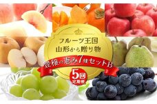 【2025年先行予約 定期便５回】ﾌﾙｰﾂ王国山形からの贈り物 ～豊穣の恵み７種セット B～桃 もも 梨 りんご 柿 ぶどう ラフランス デザート フルーツ 果物 くだもの 果実 食品 山形県 FSY-2164