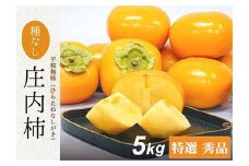 【令和7年先行受付】庄内柿 四郎左衛門 特選 秀品 約5kg(22～24個) 2Lサイズ 果物 フルーツ FSY-2104