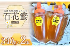 山形県産 天然熟成純粋 はちみつ 百花蜜 340g×2本(680g) F2Y-4169
