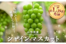 【安達農園】≪2025年先行予約≫山形県産 大粒ぶどう シャインマスカット 約1.5kg（2～3房） 秀品 2025年9月中旬から順次発送 F2Y-6147
