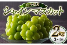 【本田農園】≪2025年先行予約≫山形県産 大粒ぶどう シャインマスカット 約2kg（3～4 房） 秀品 2025年9月中旬から順次発送 F2Y-6148