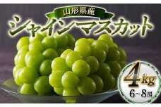 【本田農園】≪2025年先行予約≫山形県産 大粒ぶどう シャインマスカット 約4kg（6～8 房） 秀品 2025年9月中旬から順次発送 F2Y-6149