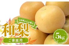 和なし 5kg 品種おまかせ ご家庭用 FSY-2182