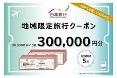 山形県 日本旅行 地域限定クーポン 300,000円分 F2Y-4163