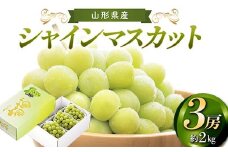 【先行予約 2025年度発送】山形県産 シャインマスカット 3房 約2kg  マスカット ぶどう ブドウ 葡萄 デザート フルーツ 果物 くだもの 果実 食品 山形県 FSY-2185