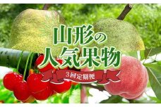 山形の人気果物3回便 FSY-2339