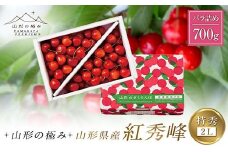 【山形の極み】山形県産 さくらんぼ 紅秀峰 700g 特秀 2L バラ詰め 2025年6月下旬から順次発送 F2Y-6285