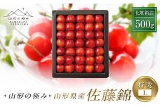 【山形の極み】贈答用 山形県産 さくらんぼ 佐藤錦 500g 特秀 L 化粧箱 2025年6月中旬から順次発送 F2Y-6286