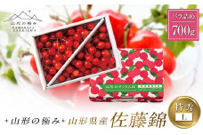 【山形の極み】山形県産 さくらんぼ 佐藤錦 700g 特秀 L バラ詰め 2025年6月中旬から順次発送 F2Y-6287