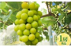 シャインマスカット 1房 約900g 以上 山形県産 秀品 ギフト箱入り 【令和7年9月下旬発送】 FSY-2234