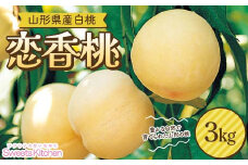 【スイーツキッチン】山形県産 白桃 恋香桃(れんかとう) 3kg(12～16玉前後) 硬め 2025年7月中旬から順次発送 F2Y-6280