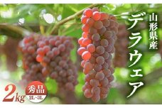 【安達農園】山形県産 ぶどう デラウェア 約2㎏(10～12房) 秀品 小粒 2025年7月中旬から順次発送 F2Y-6290