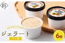 【マルノー山形】干し柿ジェラート 6個 山形県産 庄内柿 使用！ F2Y-6161