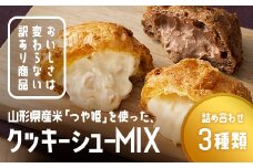訳あり クッキーシュークリーム 3種詰合せ(カスタード、カカオ、アップル) 20個 ご家庭用 お菓子 洋菓子 小分け スイーツ F2Y-6188