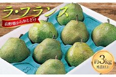 山形県産 ラ・フランス 約3kg FSY-2240