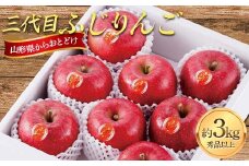 山形県産 三代目ふじりんご 約3kg FSY-2241