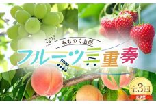 みちのく山形 フルーツ三重奏 〜桃・シャインマスカット・いちご〜 全3回定期便 FSY-2236