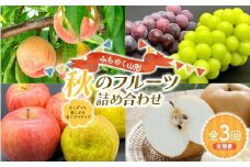 みちのく山形 1回に2品種お届け 秋のフルーツ詰め合わせ 少しずつを楽しめる食べきりサイズ定期便 FSY-2237