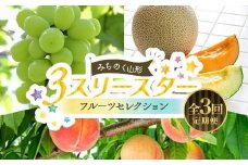 みちのく山形 3★スリースター 〜フルーツセレクション〜 全3回定期便 FSY-2393