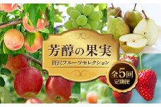 芳醇の果実 〜贅沢フルーツセレクション〜 全5回定期便 FSY-2239