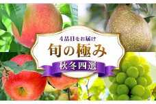旬の極み 秋冬四選 FSY-2232