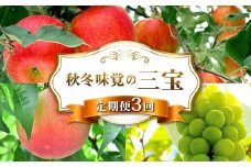 秋冬味覚の三宝 FSY-2233