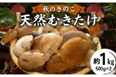 秋のきのこ 天然むきたけ 約1kg（500g×2袋） F2Y-6171