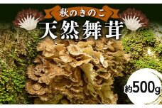 秋のきのこ 天然舞茸 約500g F2Y-6173