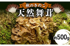 秋のきのこ 天然舞茸 約500g F2Y-6173