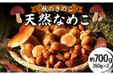 秋のきのこ 天然なめこ 約700g（350g×2袋） F2Y-6172