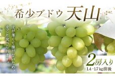 希少ブドウ 天山 2房入り 1.4～1.7kg前後 F2Y-6174